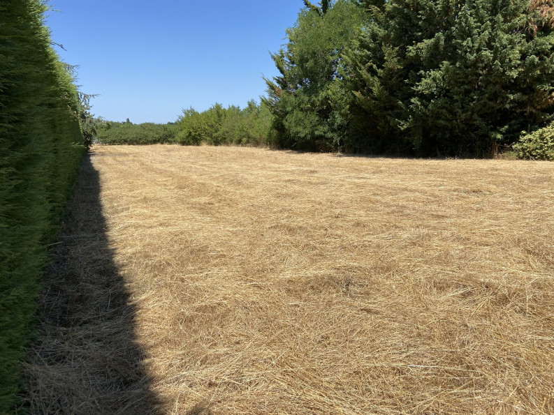 vente Terrain à aménager Saint Lambert Du Lattay - Photo 6