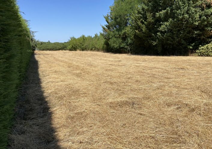 à vendre Terrain à aménager Saint Lambert Du Lattay
