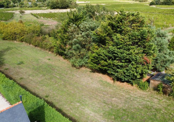 à vendre Terrain à aménager Saint Lambert Du Lattay