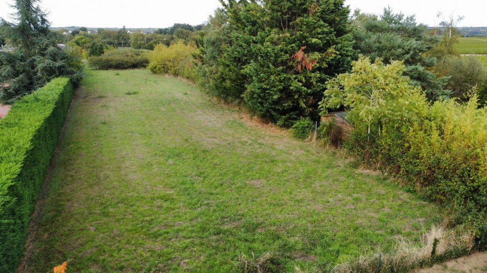 vente Terrain à aménager Saint Lambert Du Lattay - Photo 1