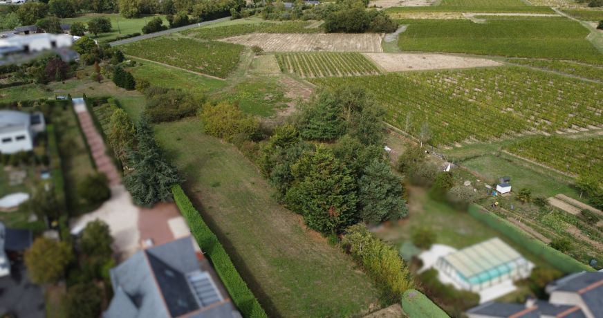 vente Terrain à aménager Saint Lambert Du Lattay