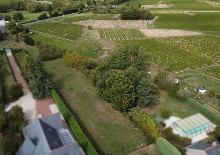 à vendre Terrain à aménager Saint Lambert Du Lattay