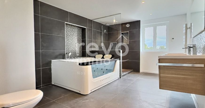 vente Maison Mionnay