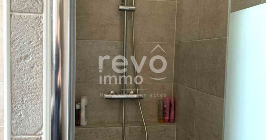 vente Maison Saint Laurent Sur Sevre