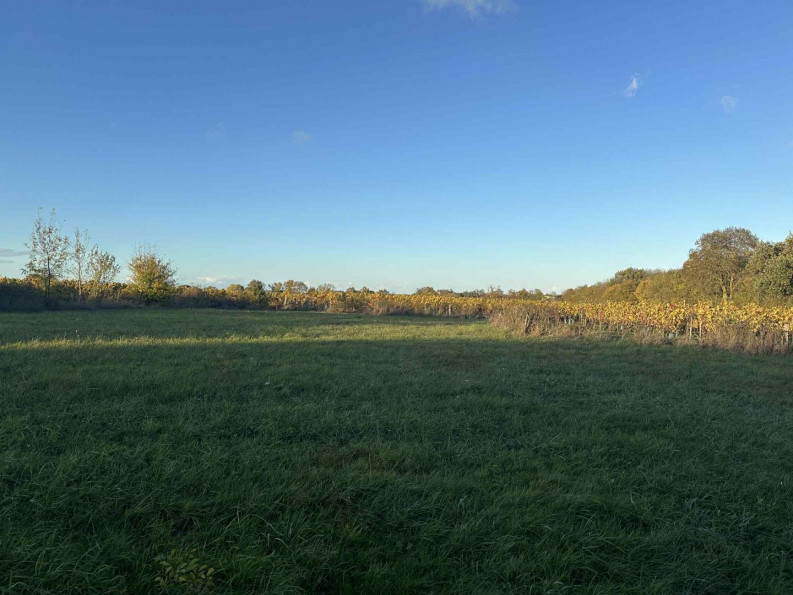 vente Maison Saint Lambert Du Lattay - Photo 9