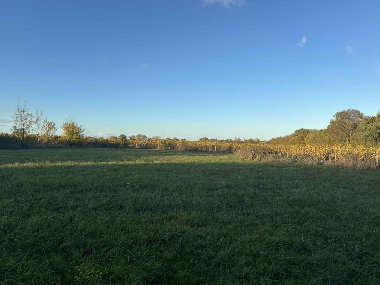 à vendre Maison Saint Lambert Du Lattay - Photo 9