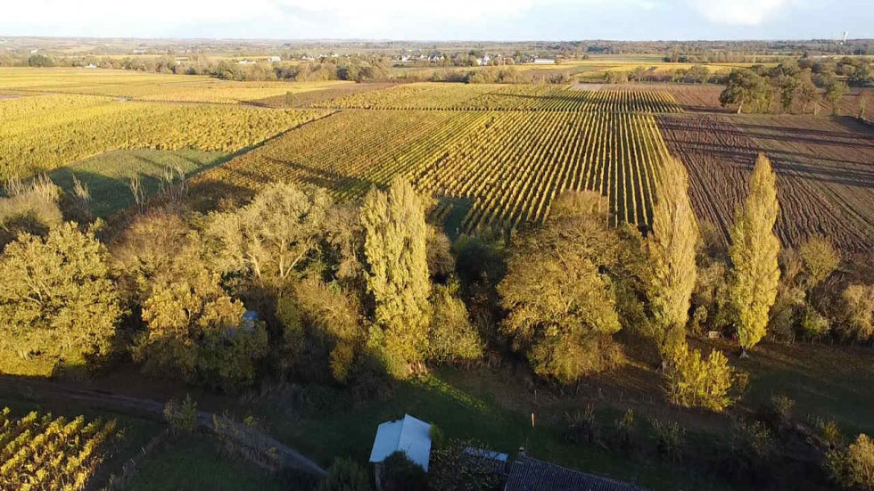 vente Maison Saint Lambert Du Lattay - Photo 6
