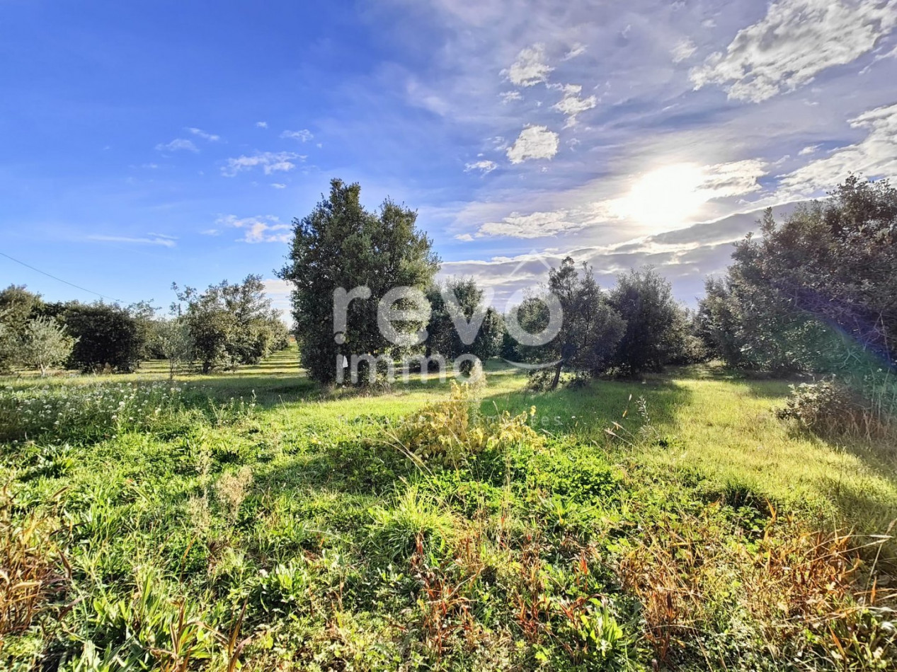 à vendre Maison Tulette - Photo 6