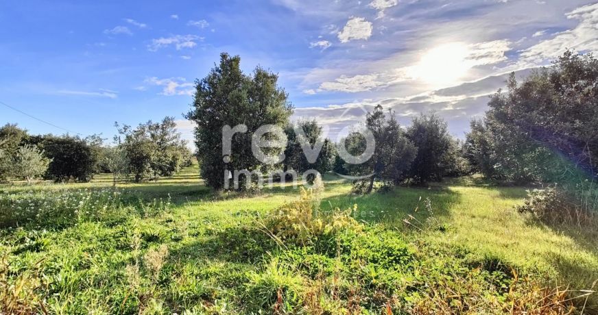 vente Maison Tulette