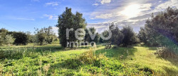 vente Maison Tulette