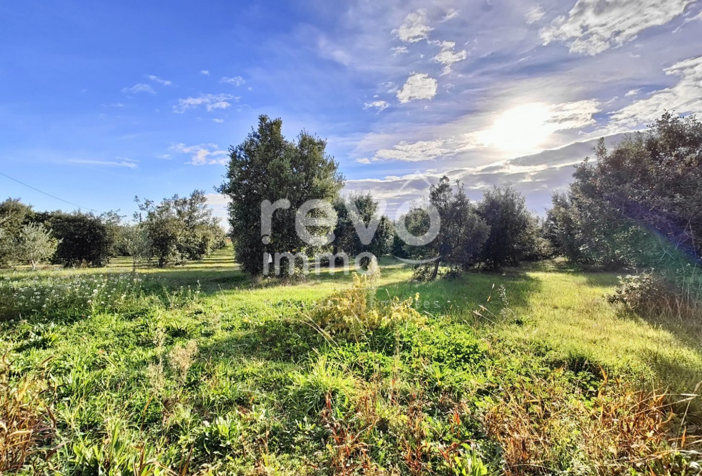 vente Maison Tulette - Photo 10