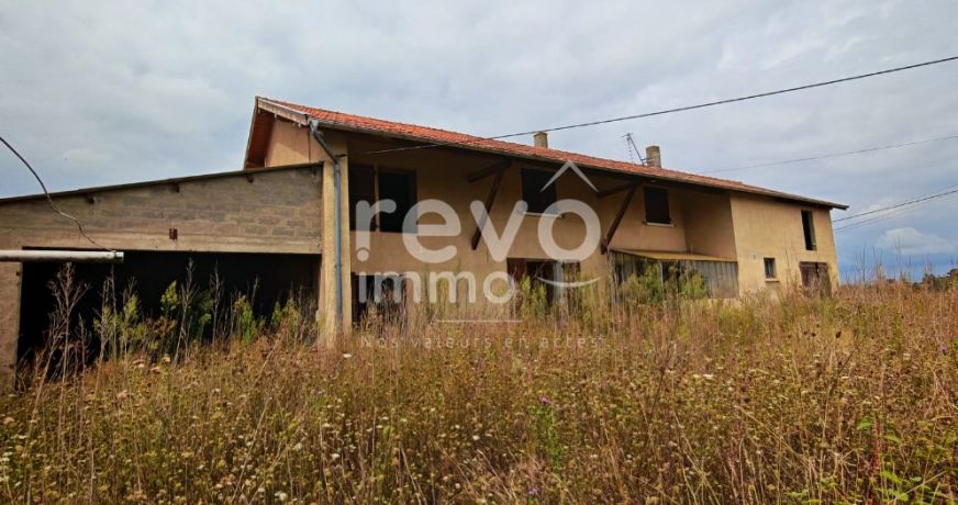 vente Grange Saint Trivier Sur Moignans