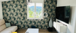 vente Maison Malaucene