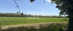 vente Maison La Copechagniere