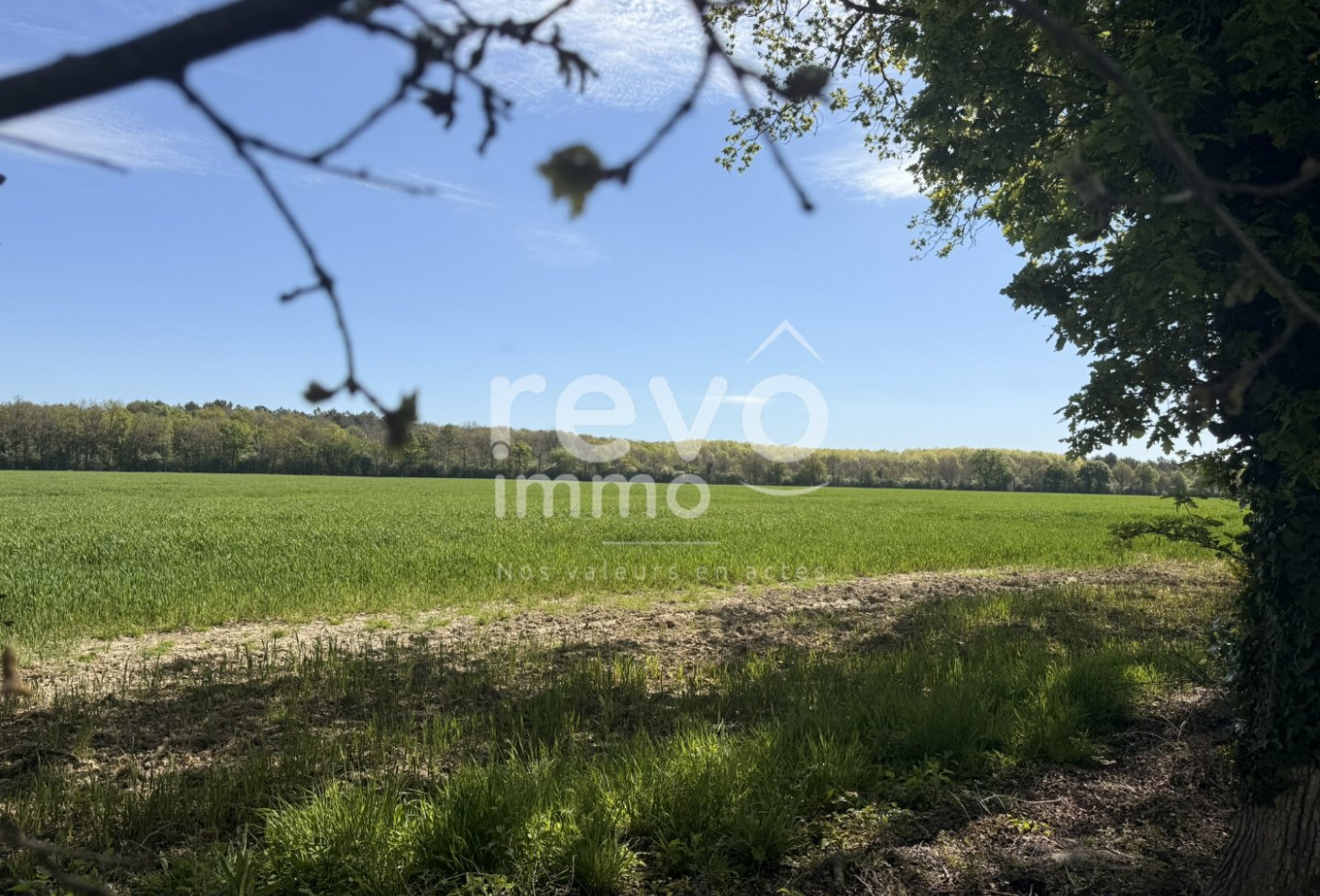 vente Maison La Copechagniere - Photo 1