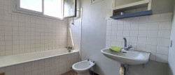 vente Maison et terrain La Plaine