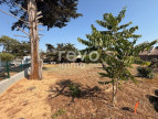 vente Terrain constructible Bretignolles Sur Mer