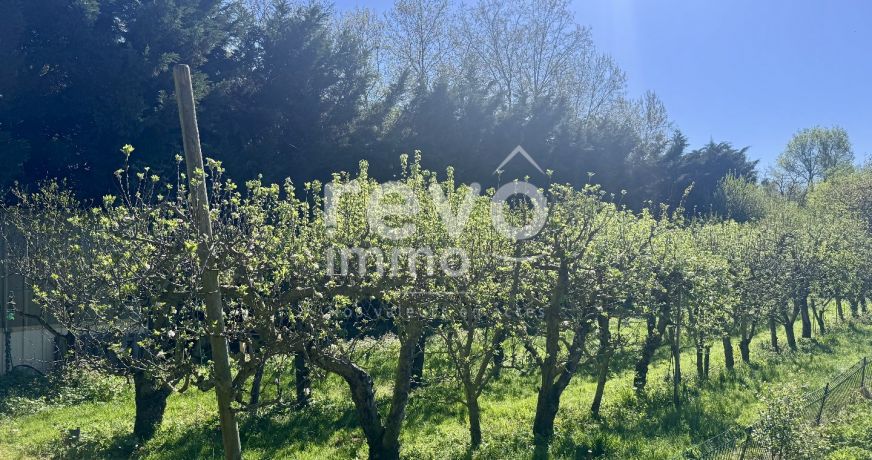 vente Maison Montreuil Juigne