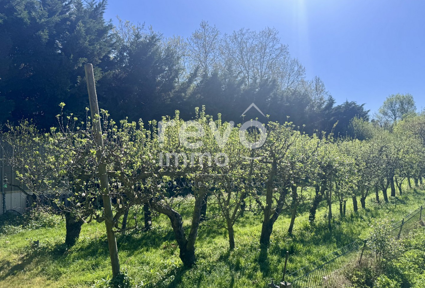 vente Maison Montreuil Juigne - Photo 10