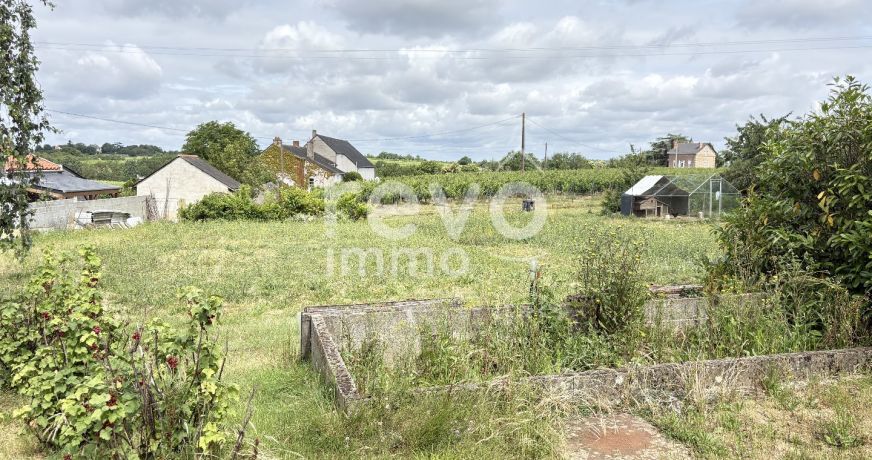 vente Maison Saint Lambert Du Lattay