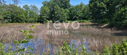 vente Etang Crans