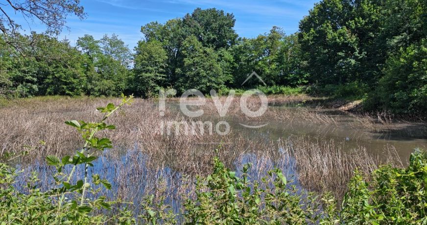 vente Etang Crans