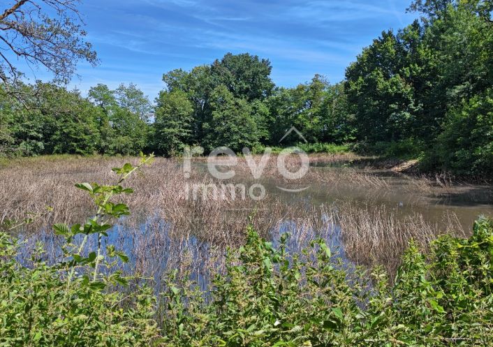 à vendre Etang Crans