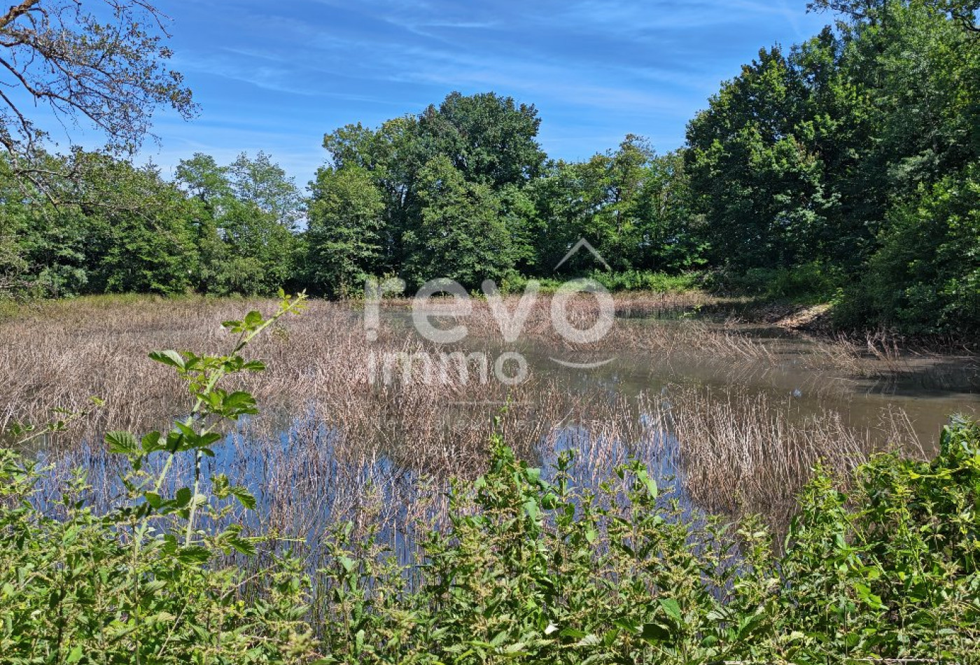 vente Etang Crans - Photo 2