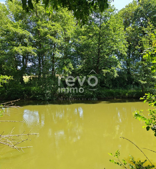 vente Etang Crans - Photo 4