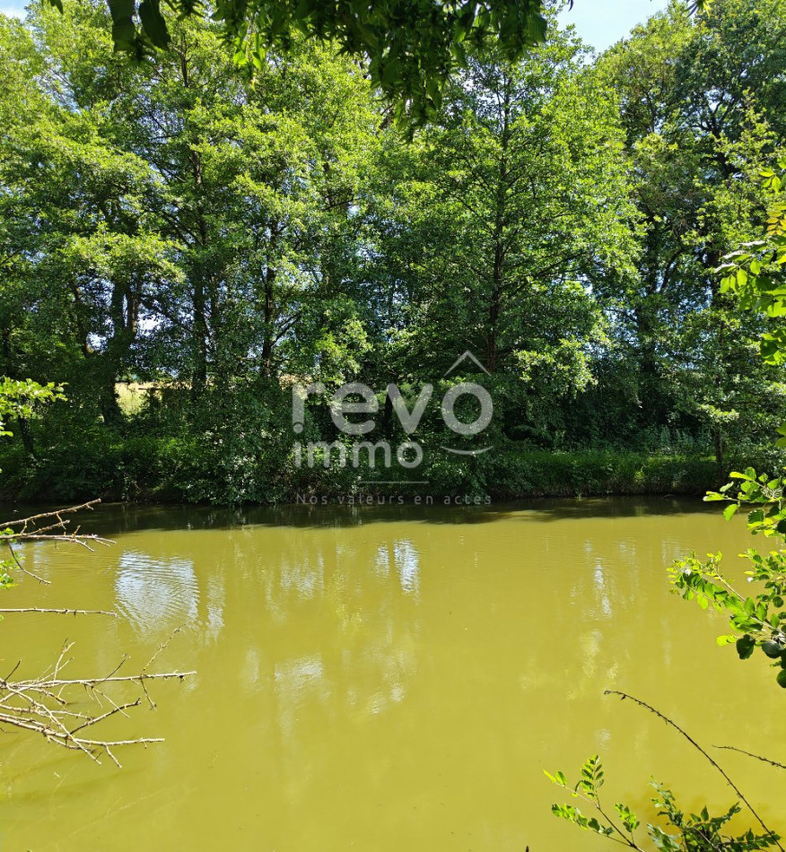à vendre Etang Crans - Photo 4
