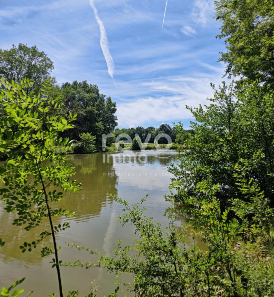vente Etang Crans - Photo 5