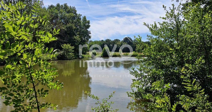 vente Etang Crans
