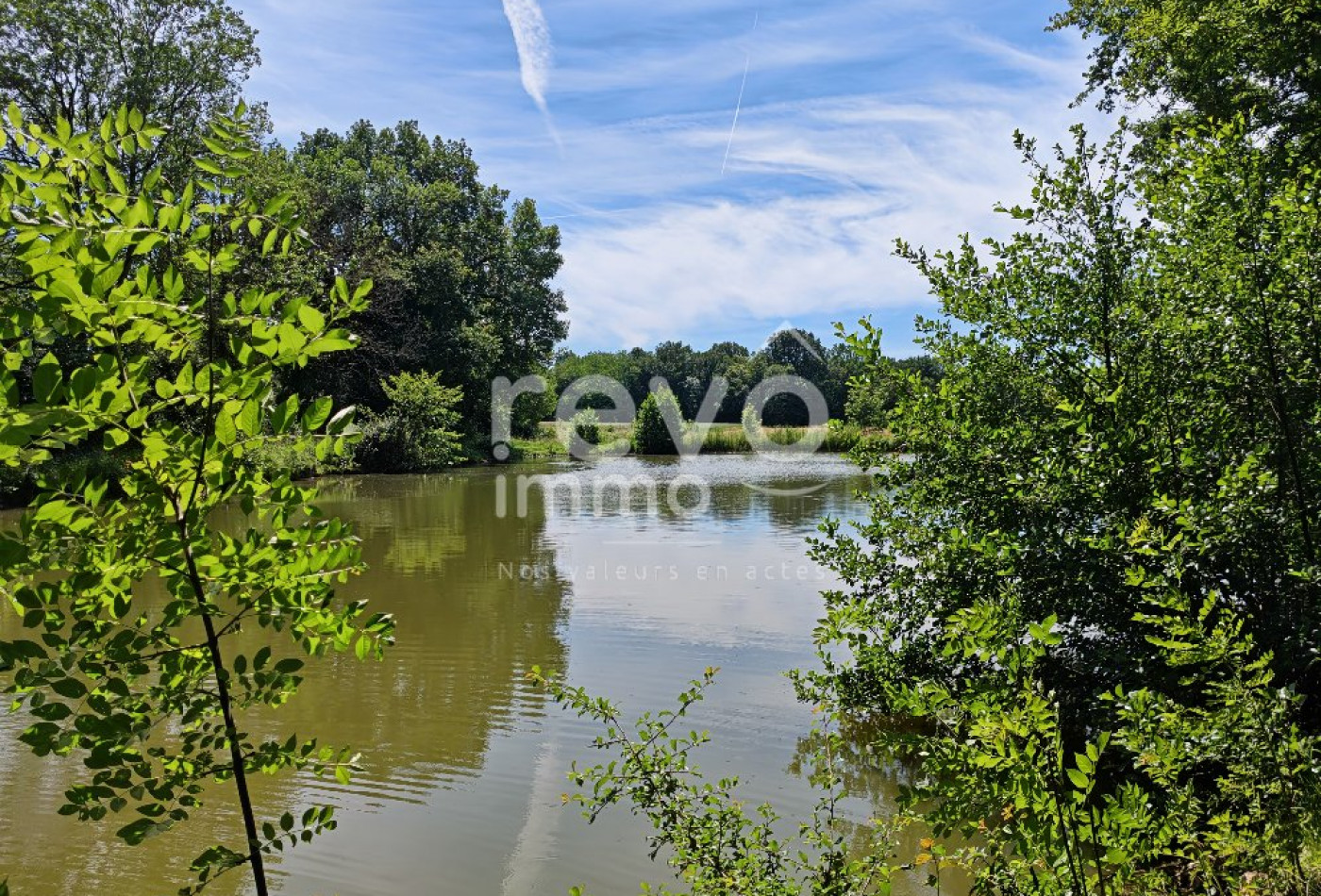 vente Etang Crans - Photo 5