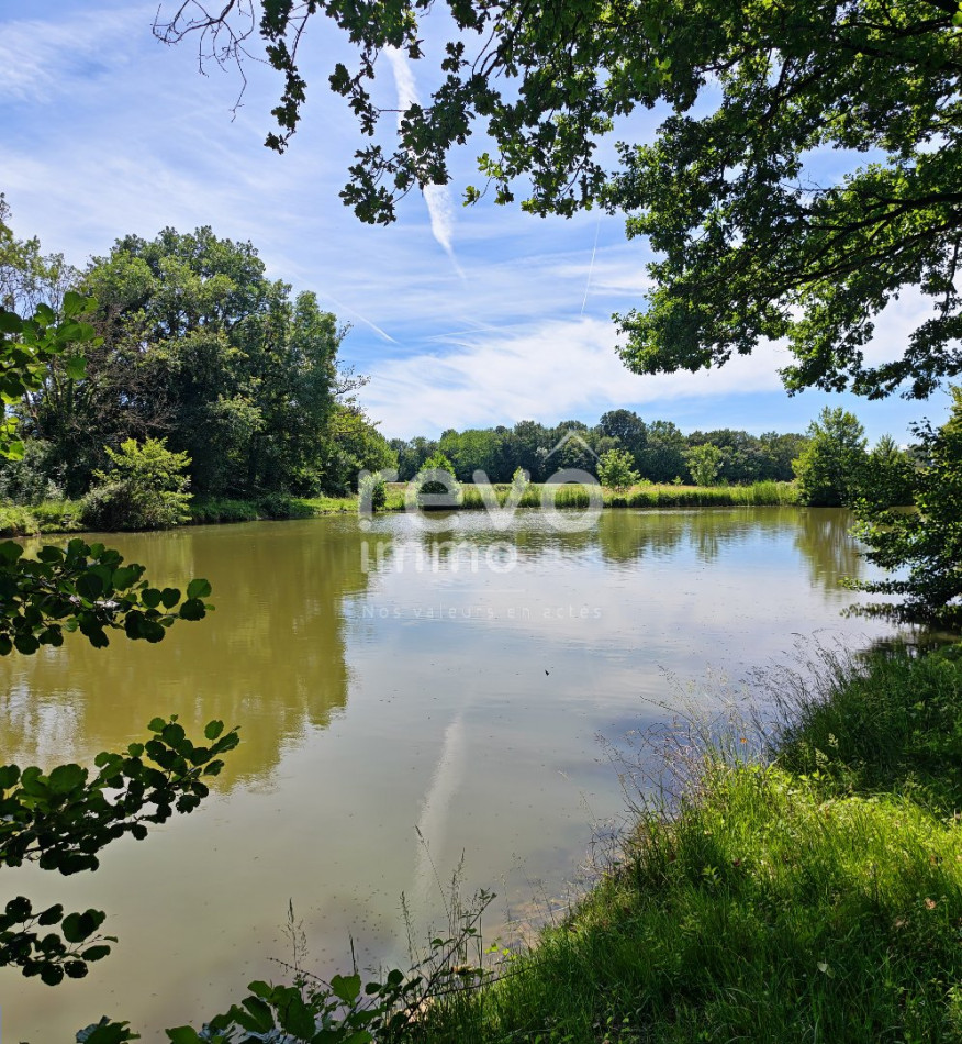 à vendre Etang Crans - Photo 6