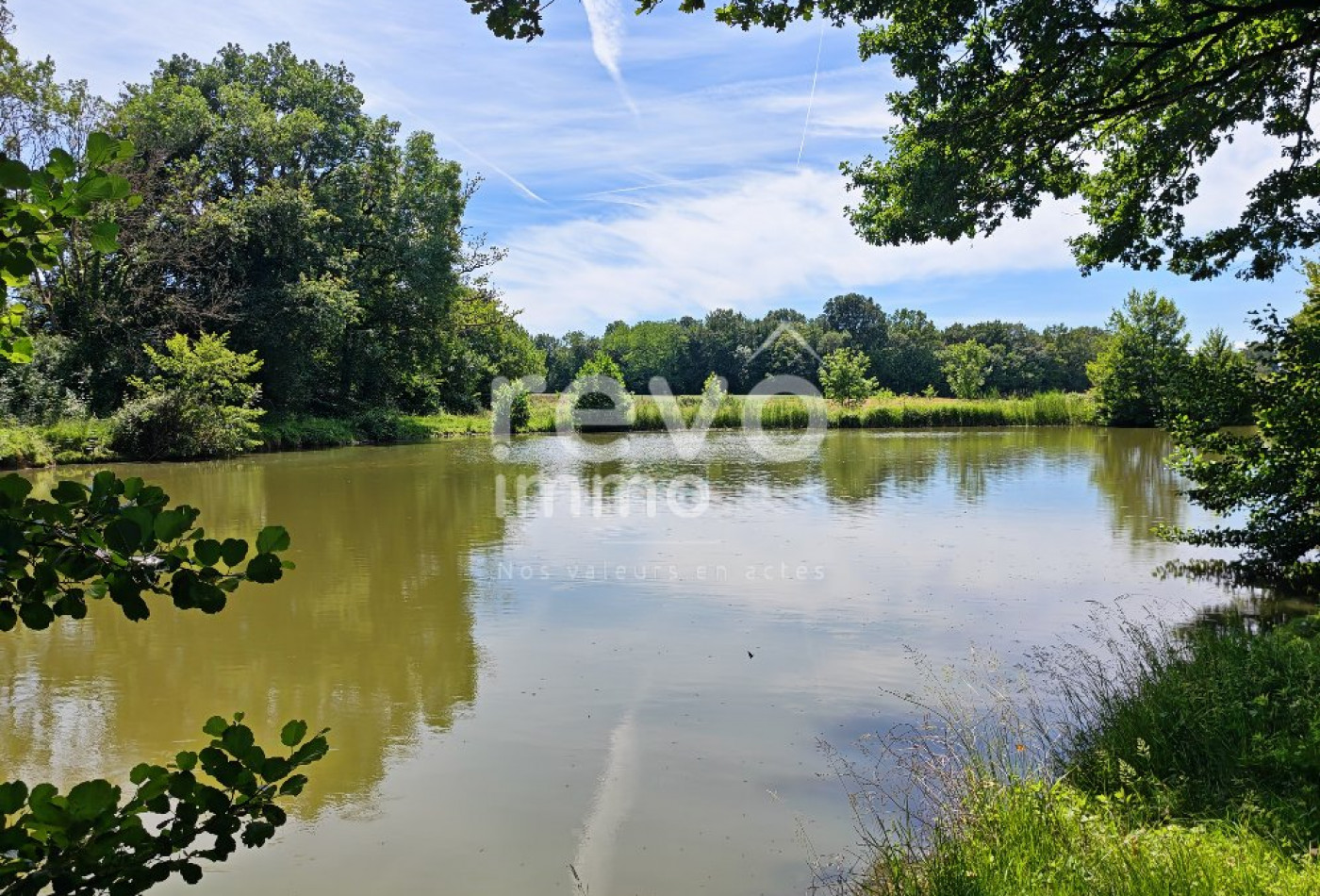 vente Etang Crans - Photo 6