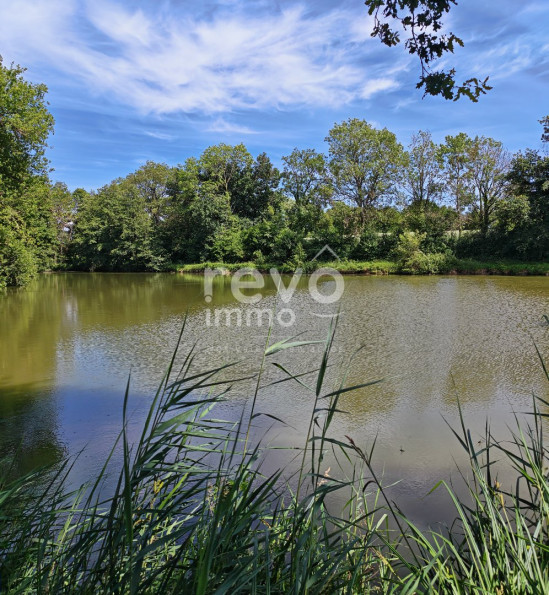 vente Etang Crans - Photo 1