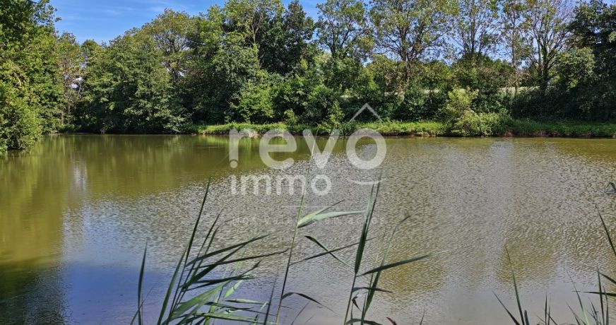vente Etang Crans