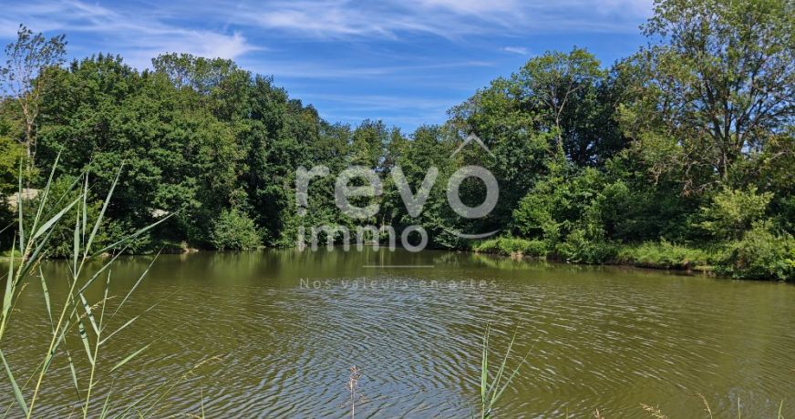 vente Etang Crans