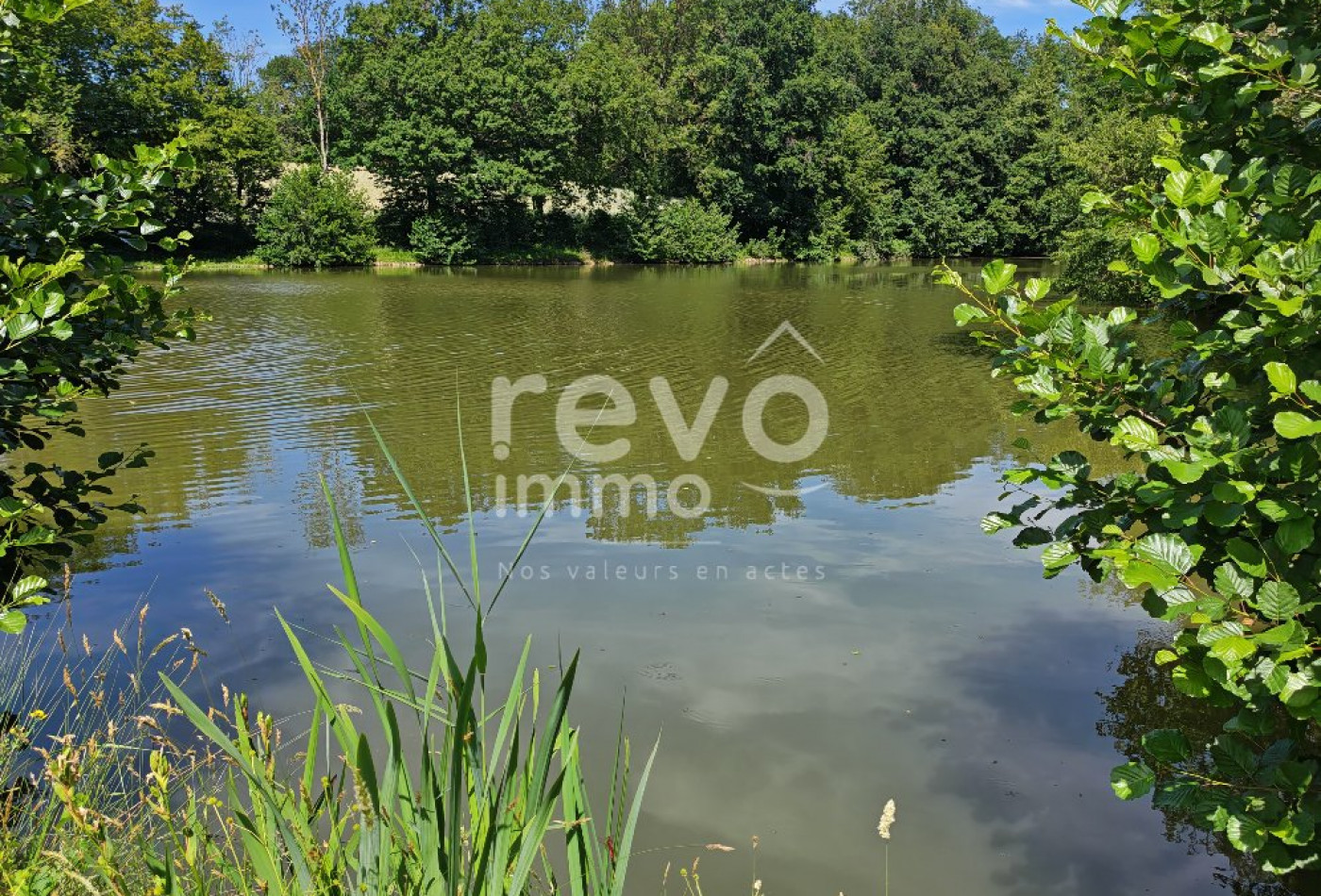 vente Etang Crans - Photo 8