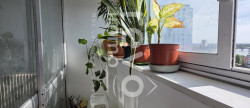 vente Appartement Nantes