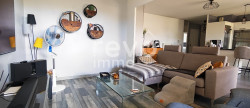 vente Appartement Mionnay