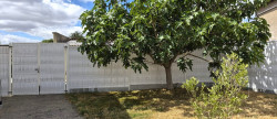 vente Maison La Tessoualle
