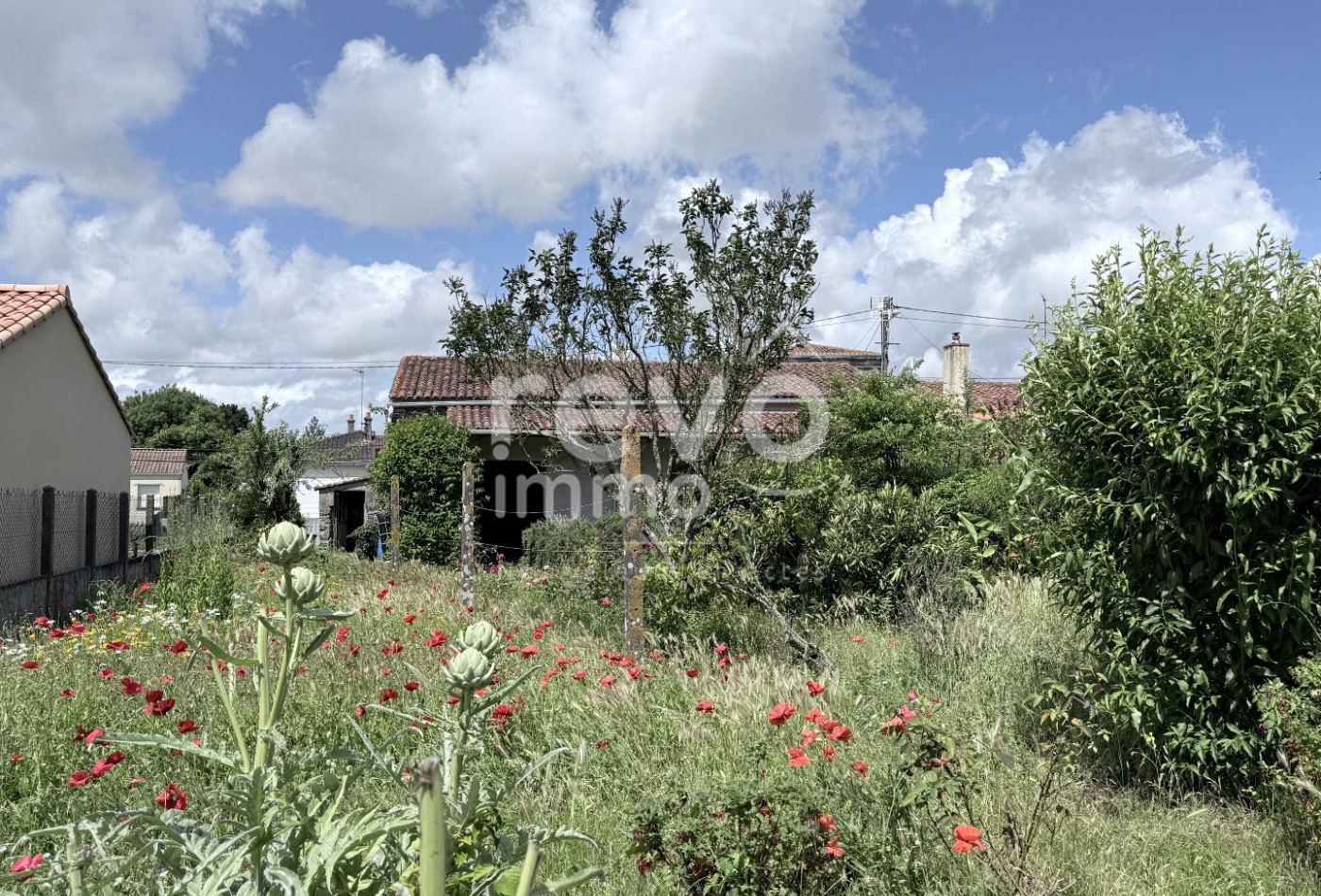 vente Maison et dépendances Champtoceaux - Photo 10