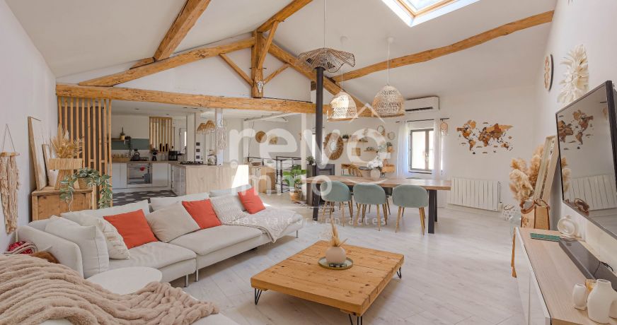 vente Maison Mionnay