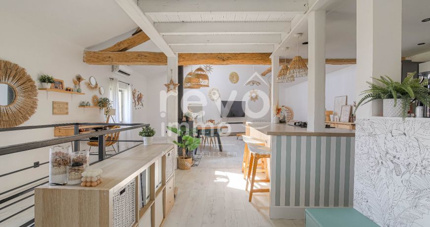vente Maison Mionnay