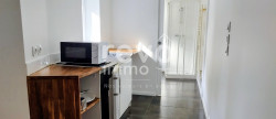 location Maison Sainte Gemmes Sur Loire