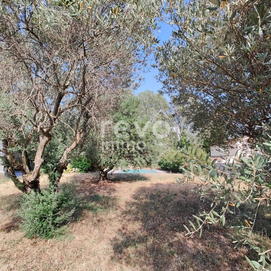 à vendre Maison Piolenc - Photo 8