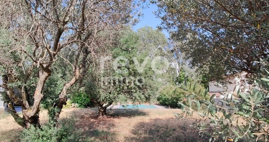 vente Maison Piolenc
