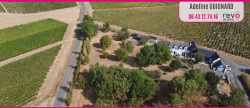 vente Maison Saint Lambert Du Lattay