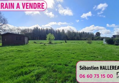 vente Terrain Mauves Sur Loire